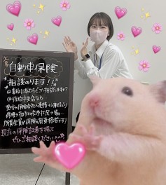 スズキで保険に入ろう！！